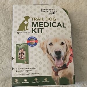 Green Labrador Retriever with Friendly Expression